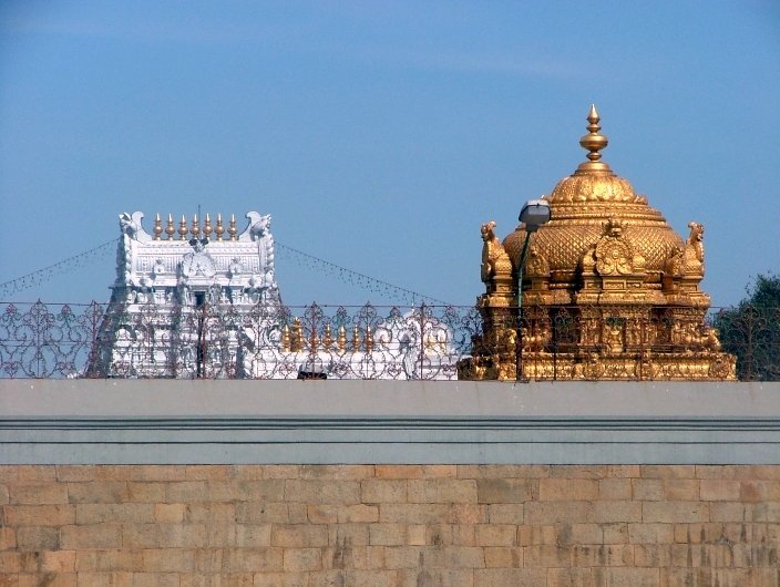 ఆగస్టు 23న తిరుమలలో శ్రీవారి పవిత్రోత్సవాలు ప్రారంభం. మూడు రోజుల పాటు జరిగే ఈ శుద్ధి కార్యక్రమాల్లో కొన్ని ప్రత్యేక సేవలు నిలిపివేయబడ్డాయి.